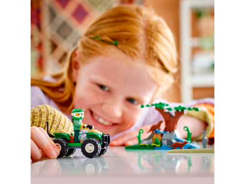 Set 60394
