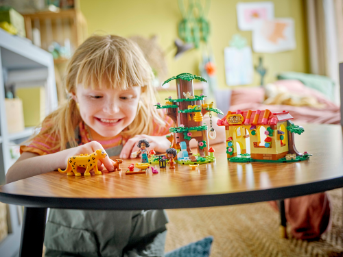 Set 43251