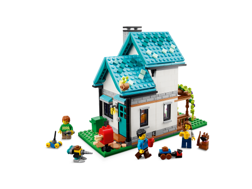 Set 31139