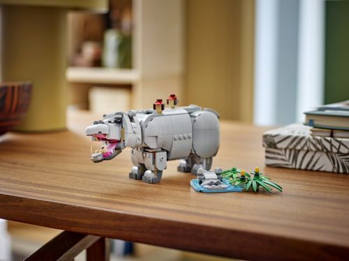 Set 31171