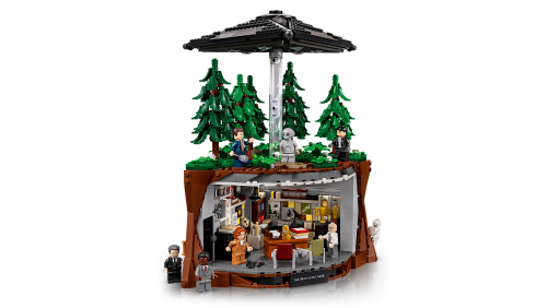 Set 21369