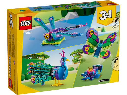 Set 31157