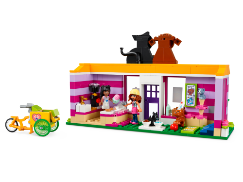 Set 41699