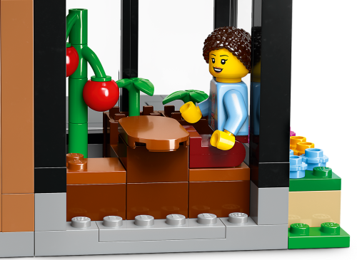 Set 60398