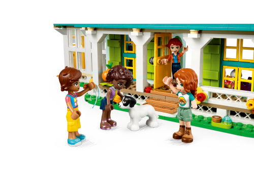 Set 41730
