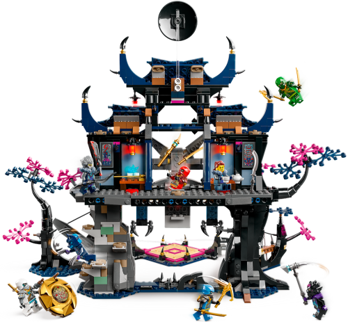 Set 71813