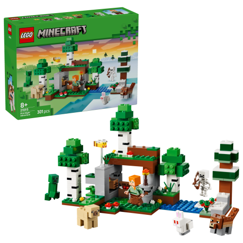 Set 21593