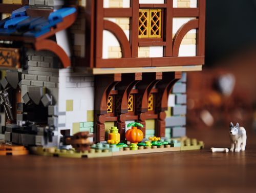 Set 21325