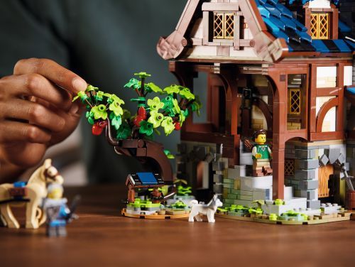 Set 21325