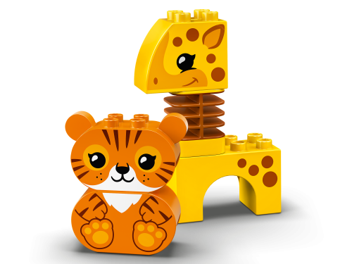 Set 10955