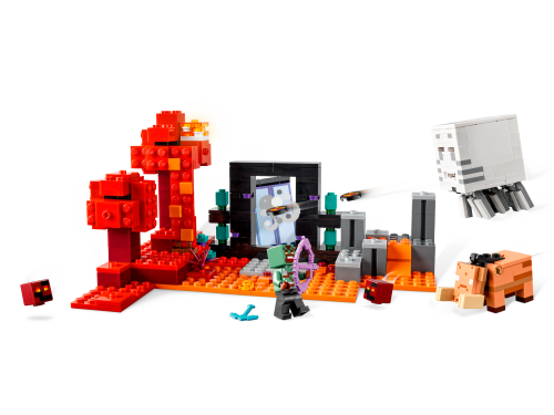 Set 21255