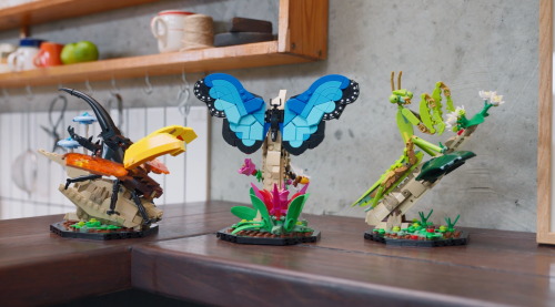 Set 21342