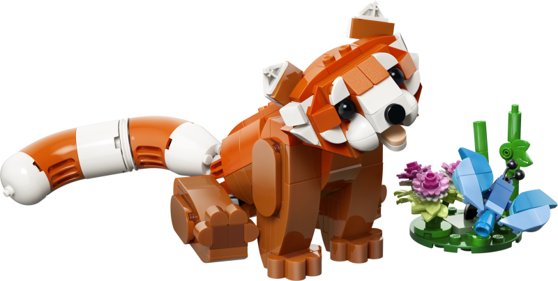 31394 Niedliche Tiere: Roter Panda