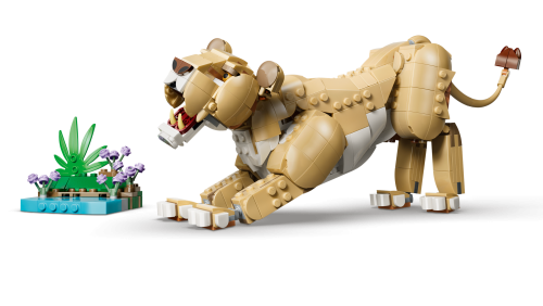 Set 31386