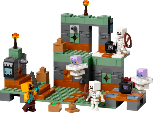 Set 21271