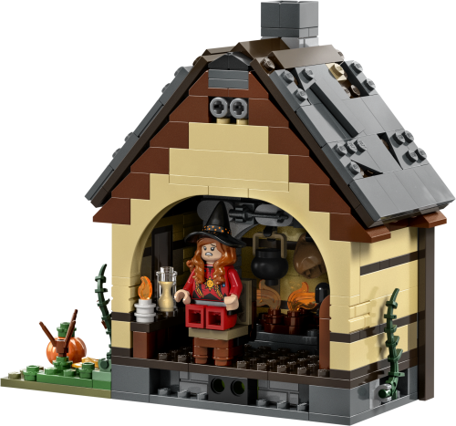 Set 21341