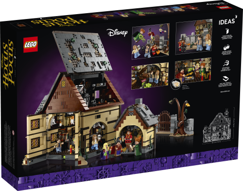 Set 21341