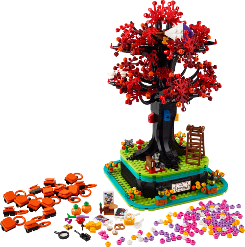 Set 21346