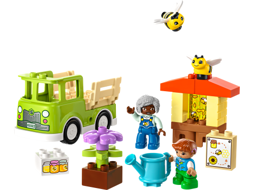 Set 10419