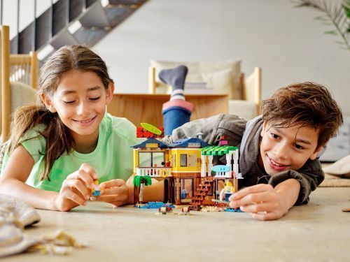 Set 31118