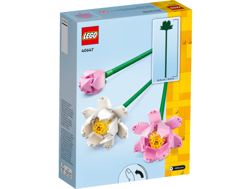Set 40647