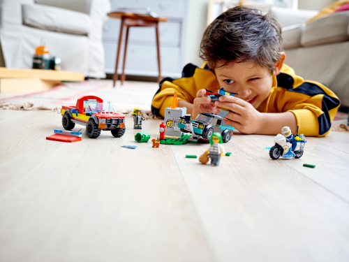 Set 60319