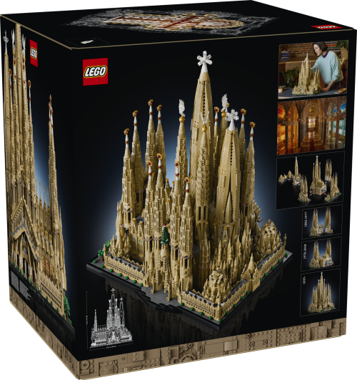 Set 21065