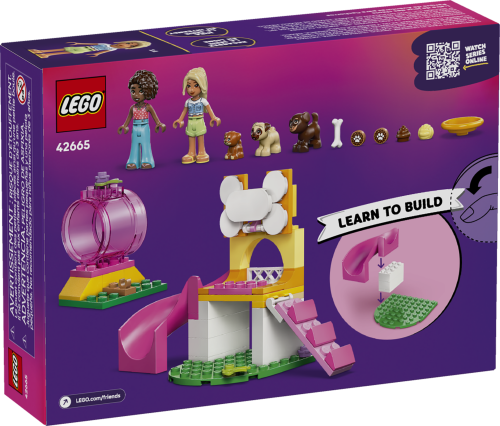 Set 42665