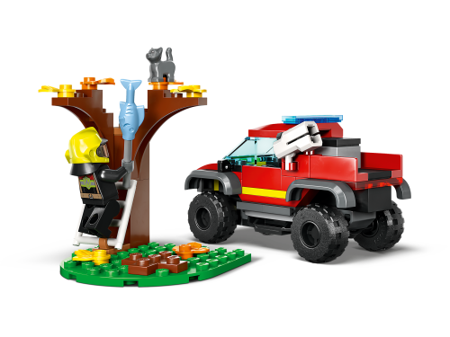 Set 60393