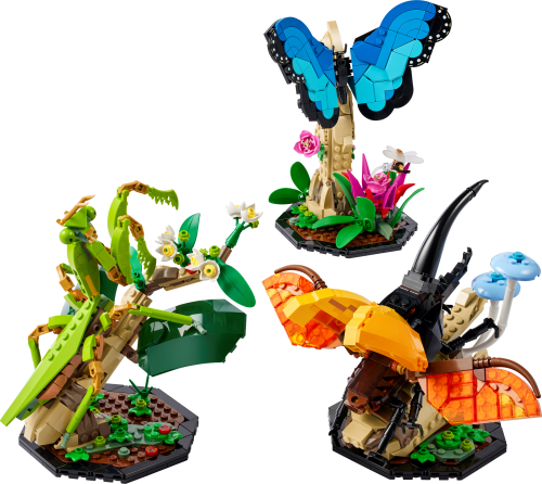 Set 21342
