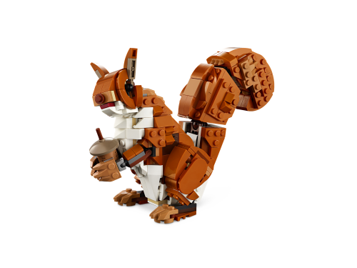 Set 31154