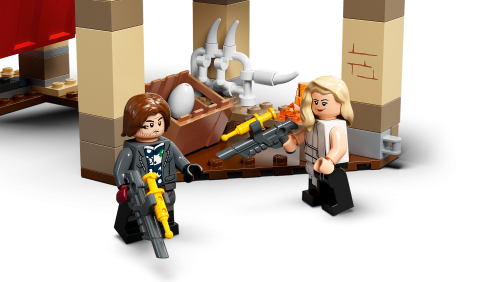 Set 76948