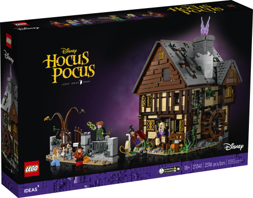 Set 21341