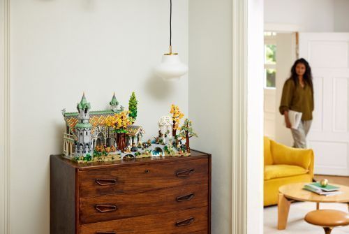 Set 10316