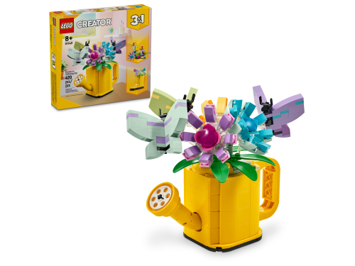 Set 31149