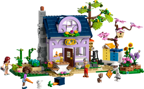 Set 42669