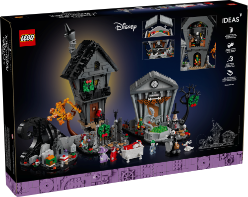 Set 21351