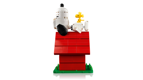 Set 21368