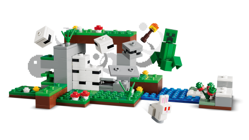 Set 21593