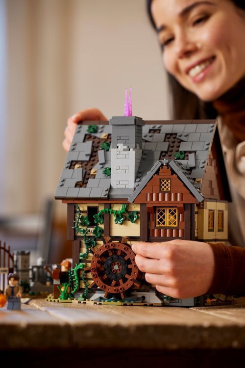 Set 21341