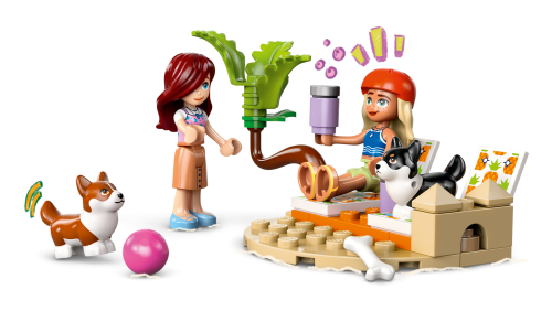 Set 42641