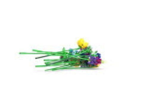 Set 10313