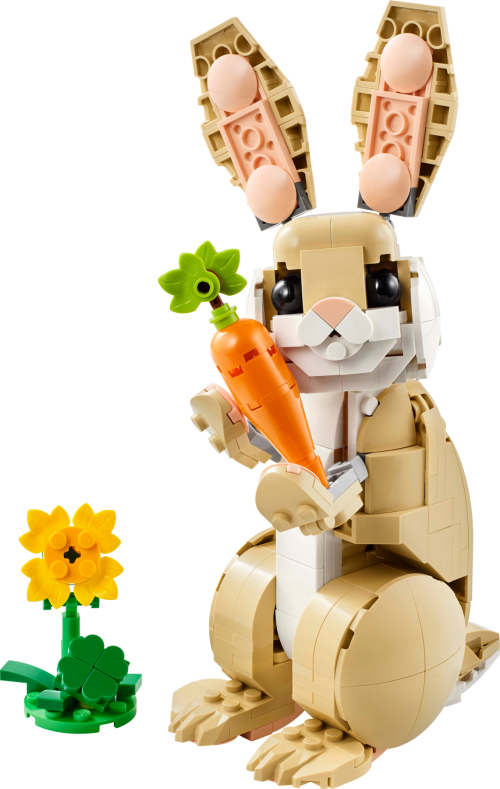 Set 31162