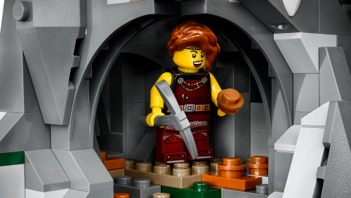 Set 21343
