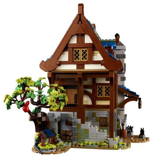 Set 21325