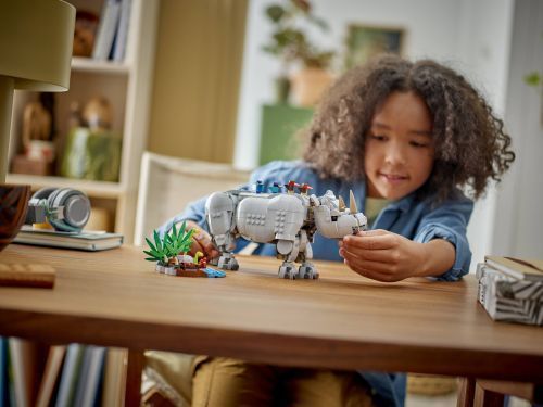 Set 31171