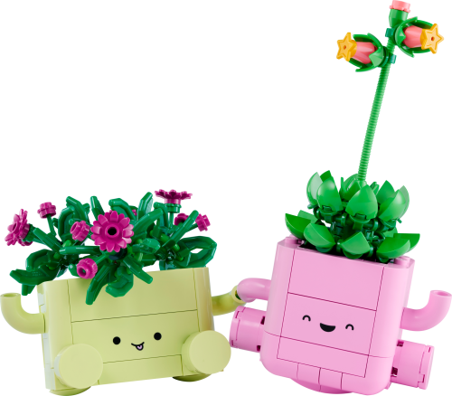 Set 11506