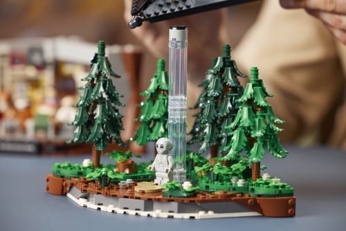 Set 21369