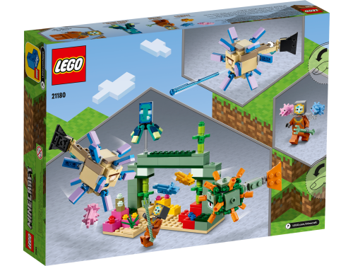 Set 21180